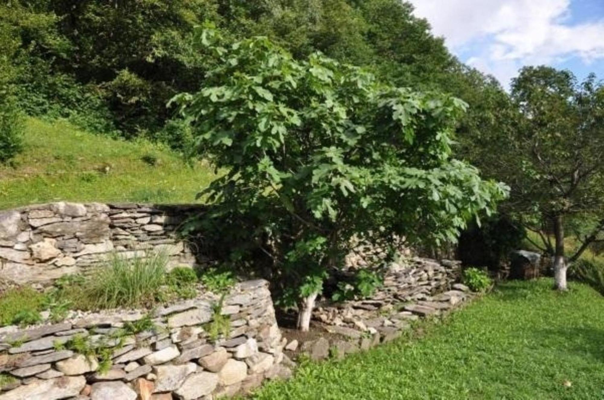 Ferienhaus Bella Vista Mit Grossem Umschwung Vila Lottigna Exterior foto